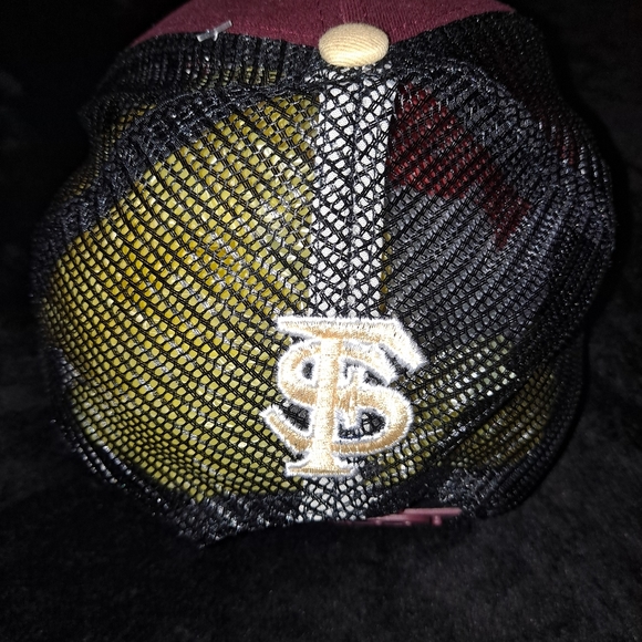 Florida State Seminoles - Picture 3 of 6